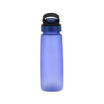 Botella 800ml - Everlast