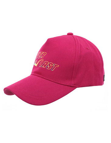 Gorras - Everlast