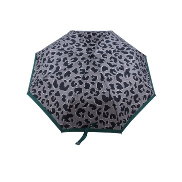 Paraguas - Las Oreiro